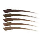 Morphe Brow Cream 3.4g (Various Shades)