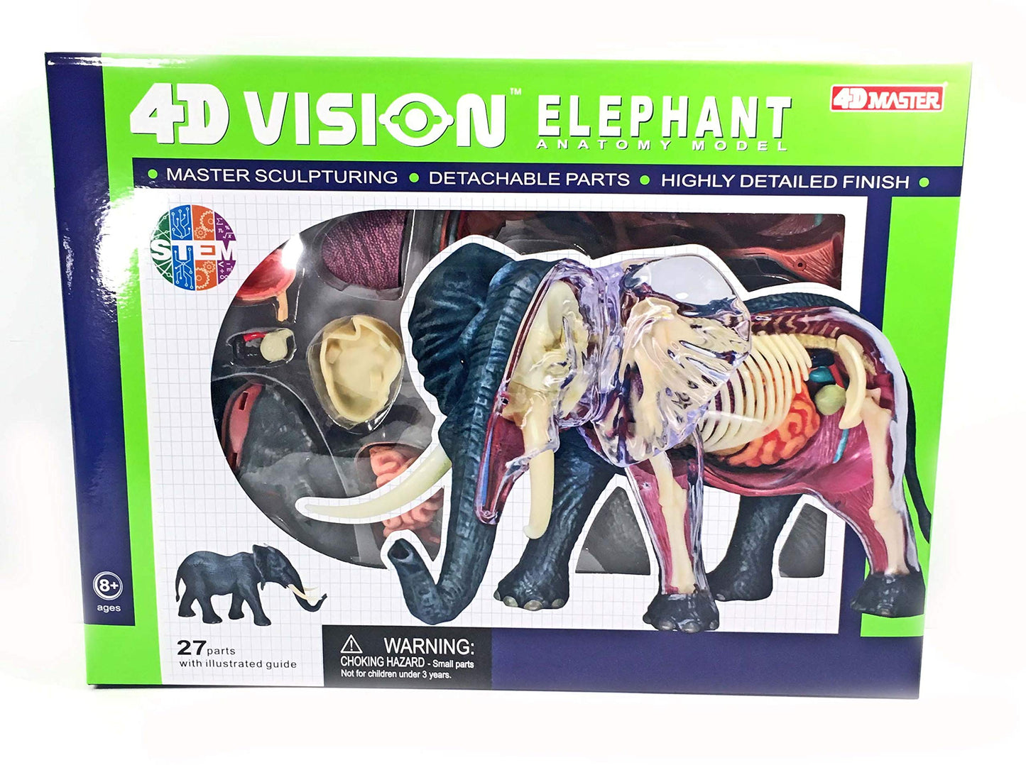 4D ELEPHANT ANATOMY