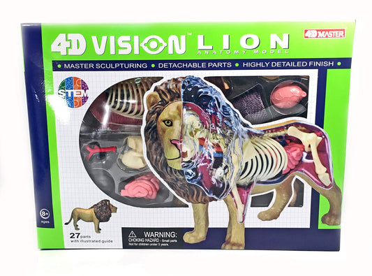 4D LION ANATOMY