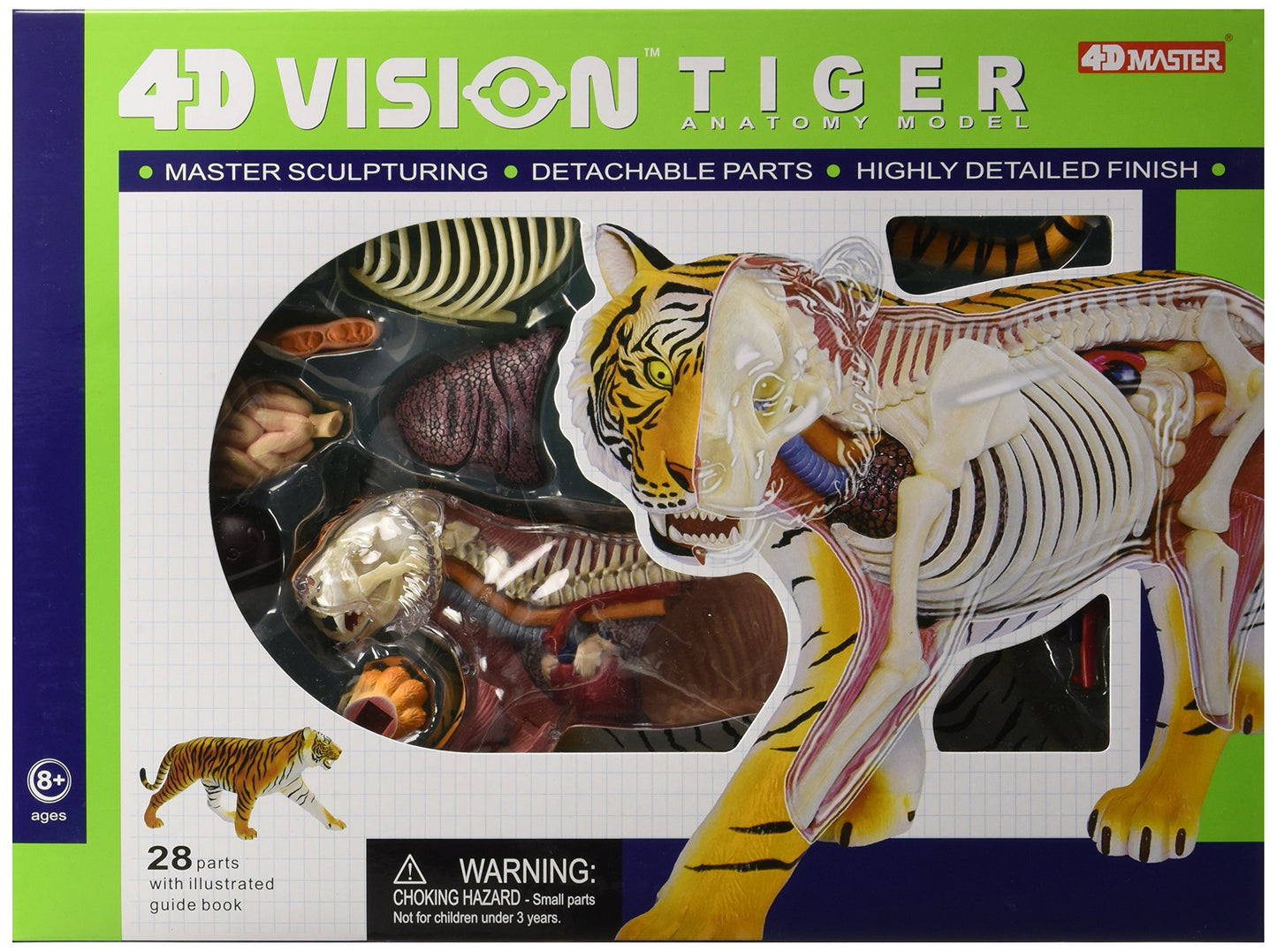 4D VISION ANIMAL-TIGER