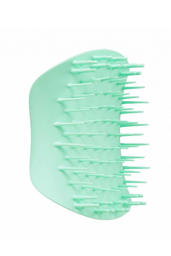 Scalp Brush Lilac